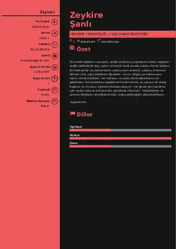 Hasta ve Yaşlı Bakım Elemanı Cv Örnekleri cv indir